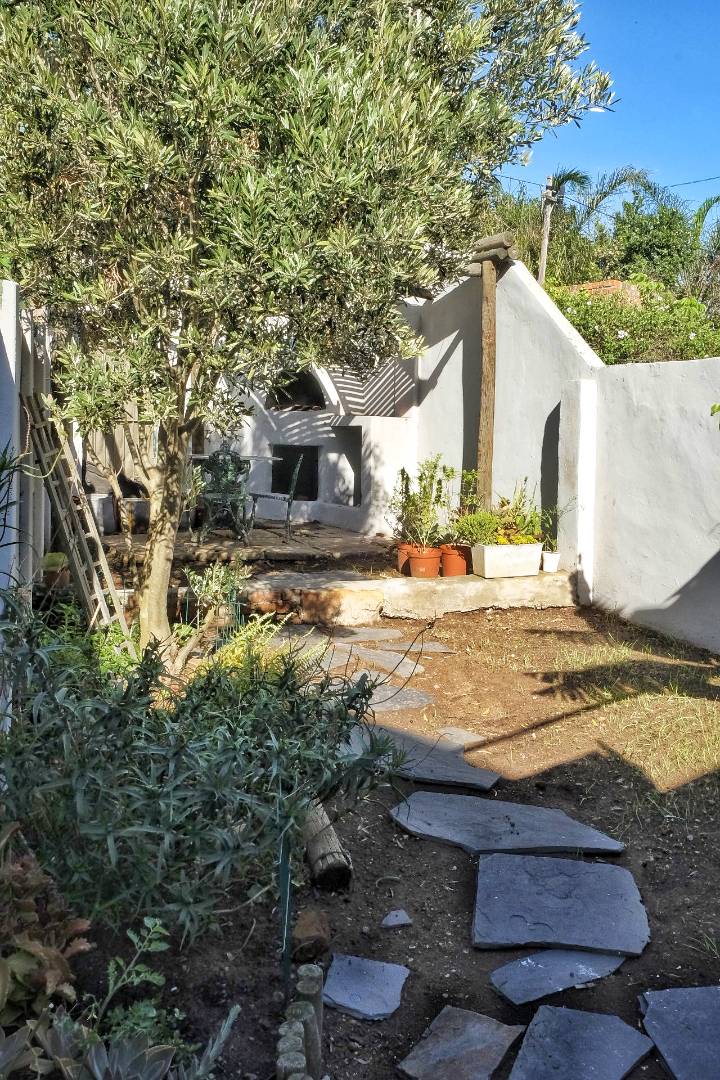 To Let 3 Bedroom Property for Rent in Richmond Hill Eastern Cape